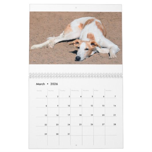 10 2016 seidener Windhounds Kalender (Mär 2026)