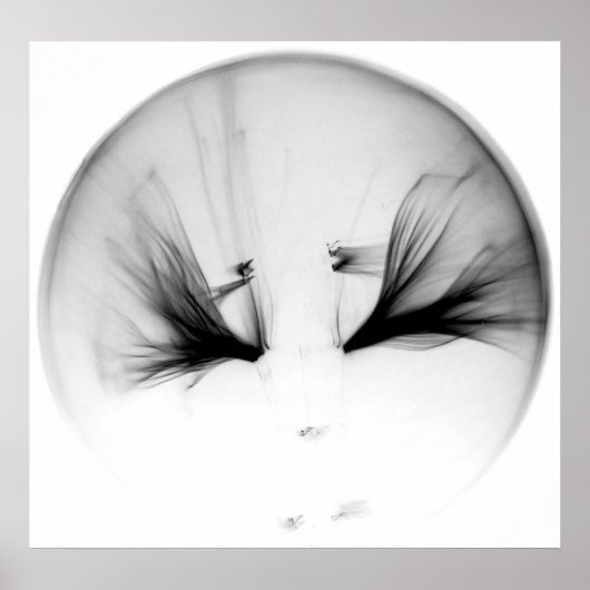 10^23 #1 POSTER (Vorne)