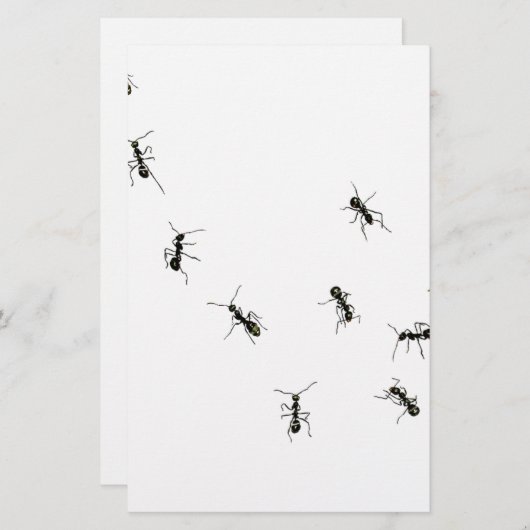 10 Ameisen Briefpapier (Vorne/Hinten)