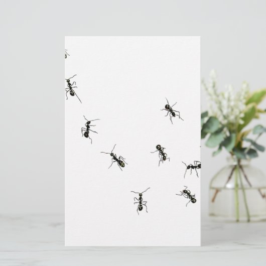 10 Ameisen Briefpapier (Stehend Vorderseite)