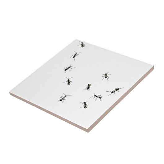 10 Ameisen Fliese (Seite)
