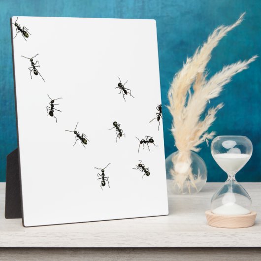 10 Ameisen Fotoplatte (Seite)