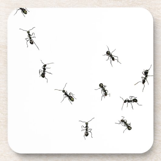 10 Ameisen Getränkeuntersetzer (Vorderseite)