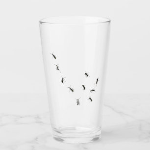 10 Ameisen Glas