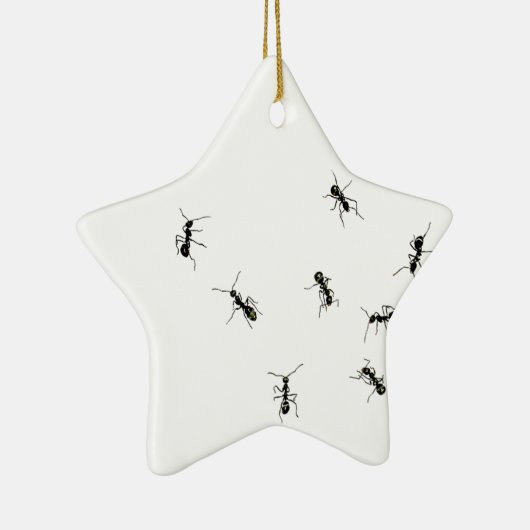 10 Ameisen Keramik Ornament (Rechts)