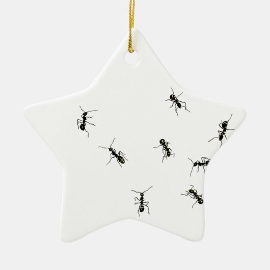 10 Ameisen Keramik Ornament (Vorne)