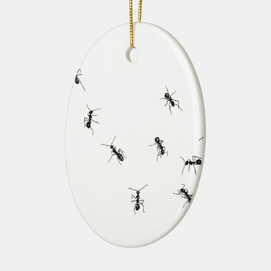 10 Ameisen Keramik Ornament (Links)