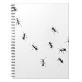 10 Ameisen Notizblock (Vorderseite)