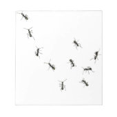 10 Ameisen Notizblock (Vorderseite)