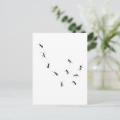 10 Ameisen Postkarte (Stehend Vorderseite)