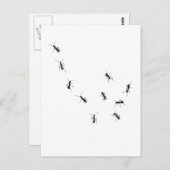 10 Ameisen Postkarte (Vorne/Hinten)