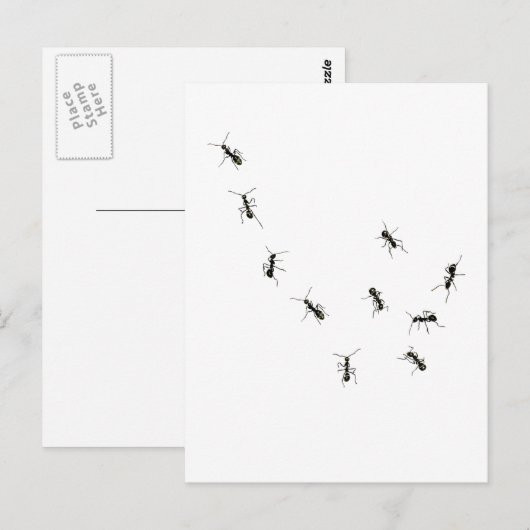 10 Ameisen Postkarte (Vorne/Hinten)