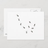 10 Ameisen Postkarte (Vorne/Hinten)