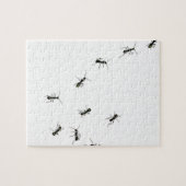 10 Ameisen Puzzle (Horizontal)