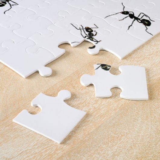 10 Ameisen Puzzle (Seite)