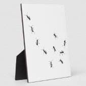 10 Ameisenplakette Fotoplatte (Seite)