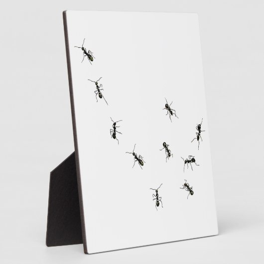 10 Ameisenplakette Fotoplatte (Seite)