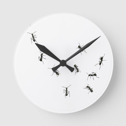 10 ants runde wanduhr (Vorderseite)