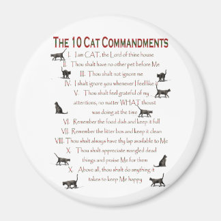 10 CAT-Anforderungen Magnet