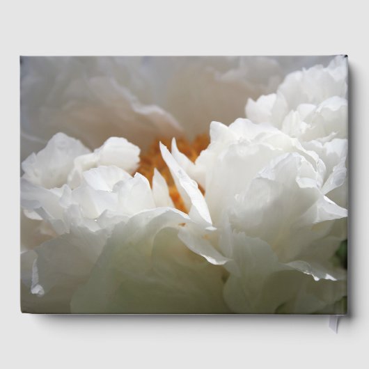 10. Hochzeitstag Party W Peony Gästebuch (Rückseite)