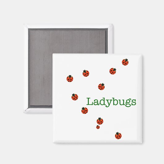 10 Ladybugs Magnet (Vorderseite/Rückseite)