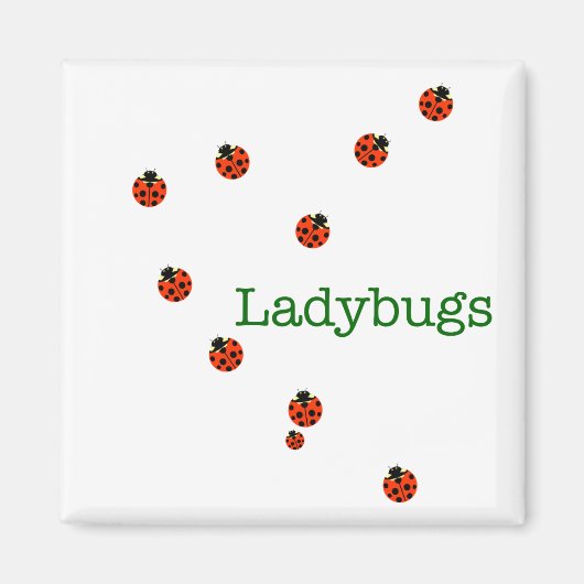 10 Ladybugs Magnet (Vorne)