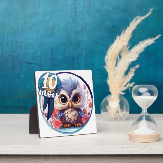 10 Monate Fotoplatte (InSitu)