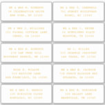 10 Party mit individueller Gastadresse Hochzeit Aufkleber<br><div class="desc">10 individuelle Gästennamen Address Party Wedding Gold Script Stickers bietet 10 Aufkleber mit Ihrem individuellen Gästennamen und Ihrer persönlichen Adresse auf jedem Aufkleber in goldenem Angel Script auf weißem Hintergrund. Auch perfekt für Weihnachts- und Feiertagskarten, Geburtstagsfeiern, Hochzeitseinladungen, Babyduschen, Brautparty, Dankeschön-Karten und Office-Mail-Outs. Bearbeiten Sie den Text einfach in den dafür...</div>