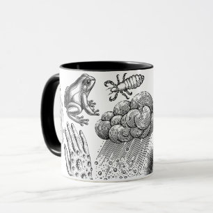 10 Pest Tasse