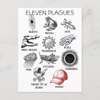 10 Plagues-Spaß Postkarte