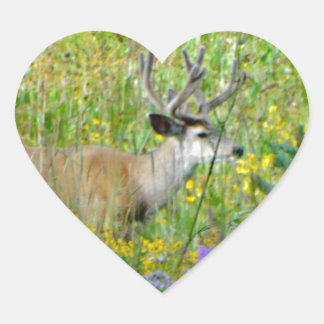 10 Point Samtbuck in einem Bereich von Wildblumen Herz-Aufkleber