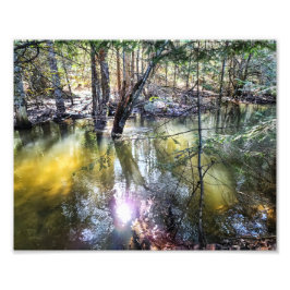 10" x8" Foto drucken | | Ein Spaziergang durch die