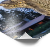 10" x8" Foto drucken | Katze (Ecke)