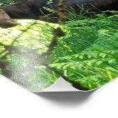 10" x8" Foto drucken || Mittagessen (Ecke)