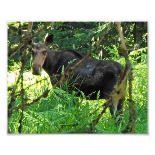 10" x8" Foto drucken || Mittagessen (Vorne)