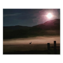 10" x8" Foto drucken | | Moon Deer Foto Paint