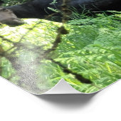 10" x8" Foto drucken || Moose Lunch v5 (Ecke)