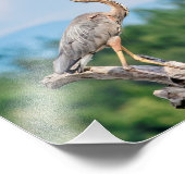 10 x 8 Great Blue Heron Fotodruck (Ecke)