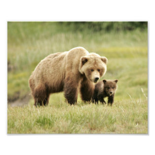 10" x 8", Kodak Beruflich Foto Paper (Satin)