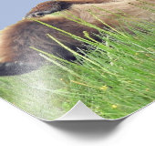 10 Zoll x 8 Zoll, Kodak Berufliches Foto Paper (Sa (Ecke)