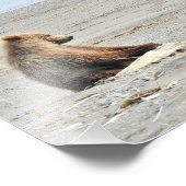 10 Zoll x 8 Zoll, Kodak Berufliches Foto Paper (Sa (Ecke)