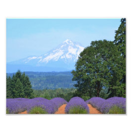 10 Zoll x 8 Zoll, Kodak Berufliches Foto Paper (Sa