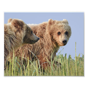 10 Zoll x 8 Zoll, Kodak Berufliches Foto Paper (Sa