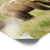 10 Zoll x 8 Zoll, Kodak Berufliches Foto Paper (Sa (Ecke)