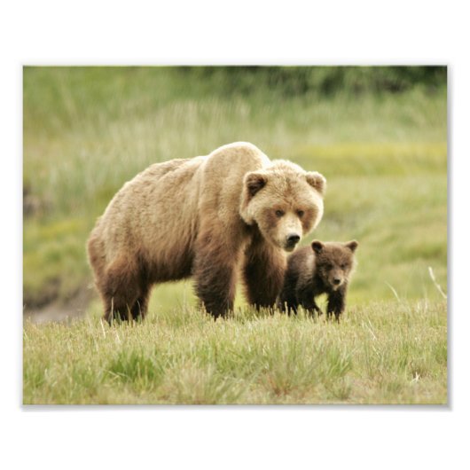 10 Zoll x 8 Zoll, Kodak Berufliches Foto Paper (Sa (Vorne)