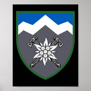 10th Mountain Ault Brigade (Ukraine) Ukrainische M Poster