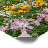 10x8 Farbige Frühlingsblumen in voller Blüte Poster (Ecke)