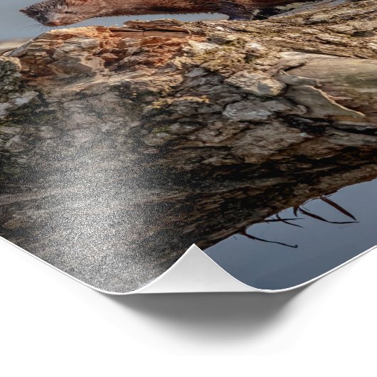 10x8 fotodruck (Ecke)