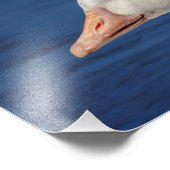 10x8 fotodruck (Ecke)