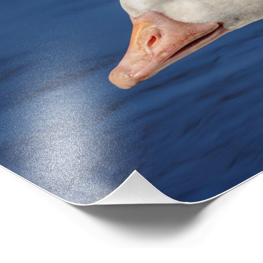 10x8 fotodruck (Ecke)